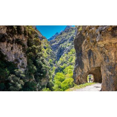 Pillada por un detective: despedida por hacer senderismo durante su baja médica en los Picos de Europa