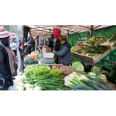 Pamplona llena el Bosquecillo de sabor y artesanía con un mercadillo en el que reinan el espárrago y la alcachofa