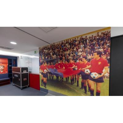 El ascenso que cambió la historia de Osasuna
