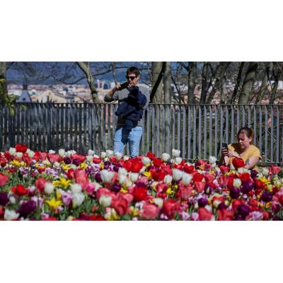 Del paraguas a los 27 grados: Navarra se prepara para un giro primaveral tras el lunes de lluvia y viento
