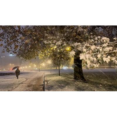 Navarra registró en invierno siete casos de hipotermia y cuatro alertas sanitarias por bajas temperaturas