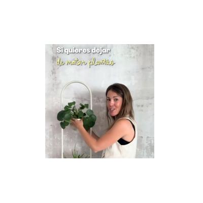 El truco infalible para saber cuándo regar las plantas