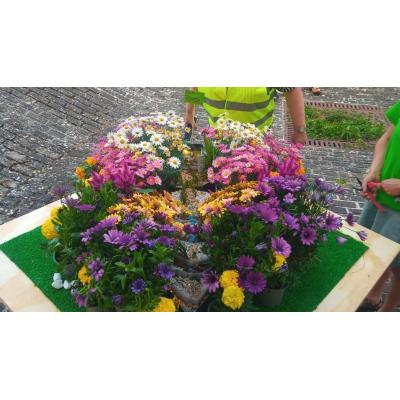 Concurso de microjardines con premios en ‘Aoiz en flor’