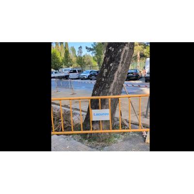 Denuncian que "por no cortar un árbol" se ha dejado sin agua a "muchísimas personas" en Orvina