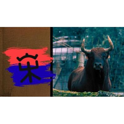 Los toros de la ganadería Reta de Casta Navarra vuelven a los ruedos el 25 de abril