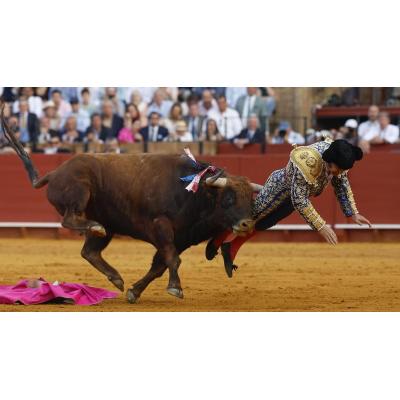 Morante, herido "muy grave" tras ser cogido por el cuarto toro en Sevilla