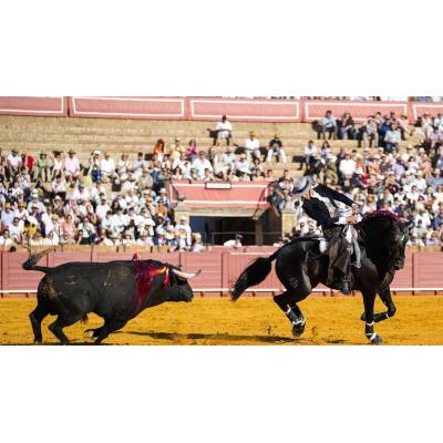 Fotos de la corrida de rejones en la que Guillermo Hermoso de Mendoza ha cortado dos orejas en Sevilla