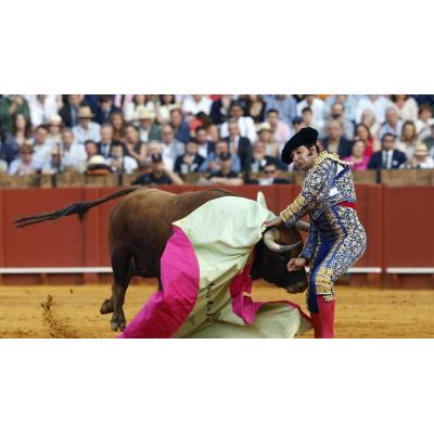 Fotos de la cogida a Morante de la Puebla este lunes en la Feria de Abril