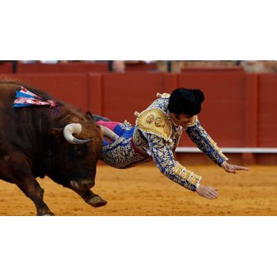 La figura más esperada de San Fermín, en vilo: Morante sufre una cornada "muy grave" en Sevilla