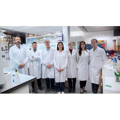 Salud identifica una nueva ruta de señalización molecular en cáncer para optimizar las inmunoterapias biológicas de nueva generación