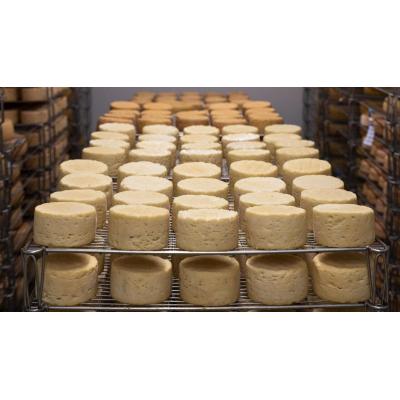 Alerta en Navarra: uno de sus quesos más populares menguará la producción por estas amenazas