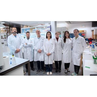 Científicos de Navarra dan con una pista para mejorar los tratamientos de inmunoterapia en pacientes con cáncer