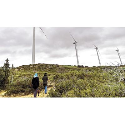 Luz verde ambiental al último proyecto de parque eólico de Arena Green