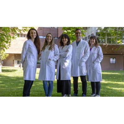 Investigadores de la Universidad de Navarra desarrollan nuevas vacunas veterinarias frente a la brucelosis porcina