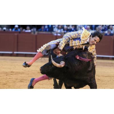 Roca Rey, herido "muy grave" en la Maestranza