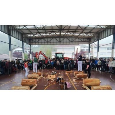 Feria de ganado este sábado en Bera