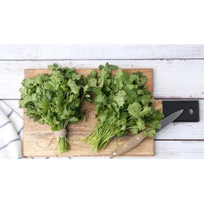 ¿Por qué a algunas personas el cilantro les sabe a jabón lavavajillas?