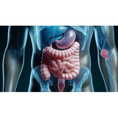Comer por la noche puede explicar la aparición de algunos problemas intestinales