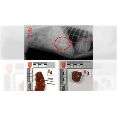Investigado un varón de 23 años por colocar cebos con tornillos en la comarca de Pamplona