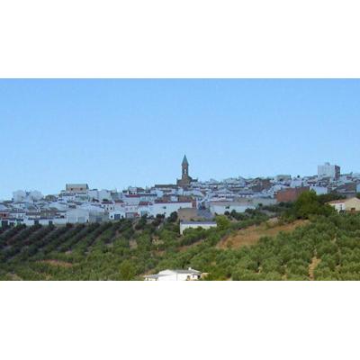 Muere un hombre de 75 años atrapado en una máquina picadora en una finca de Porcuna (Jaén)