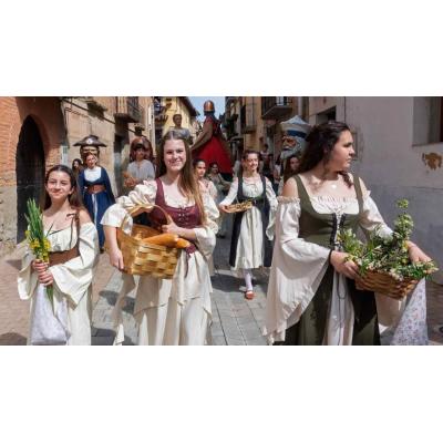 El pueblo de Navarra que ha "viajado" a 1176 para sellar un mensaje secreto que no se abrirá hasta 2076