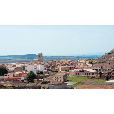 Pedro de Navarra y de la Cueva, un prometedor agramontés (VII)