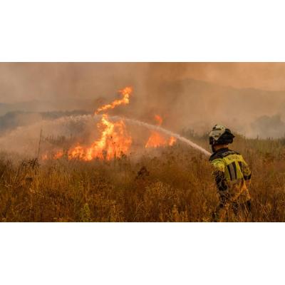 La exposición al humo de los incendios forestales puede estar relacionada con un mayor riesgo de desarrollar cáncer