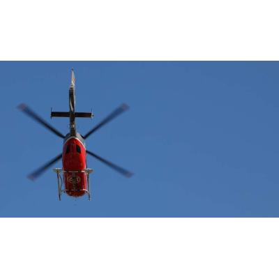 Grave accidente doméstico en un pueblo de Navarra: cae desde cinco metros mientras talaba