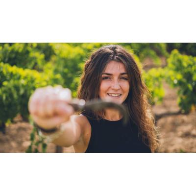 El vino de un pueblo navarro de apenas 400 vecinos que ha conquistado a la crítica internacional