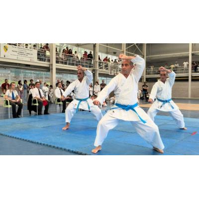 El campeonato que ha llenado Pamplona de kárate, compañerismo y una exhibición de alto nivel