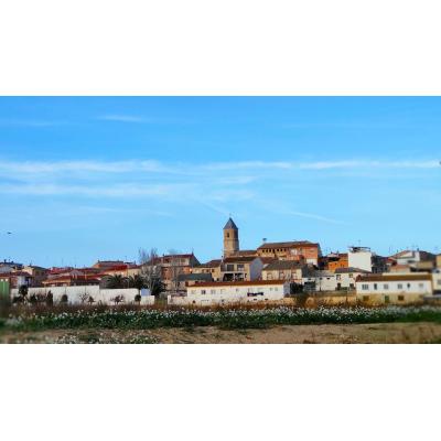 El pueblo de Navarra que invertirá casi 90.000 euros para transformar uno de sus paseos más utilizados