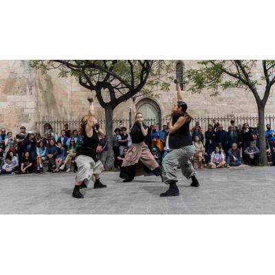 Danza, parkour y un perro robot: la sorprendente propuesta que llegará a varios pueblos de Navarra