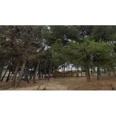Tudela da el primer paso para transformar uno de sus parques con corredores verdes y nuevas zonas de paseo