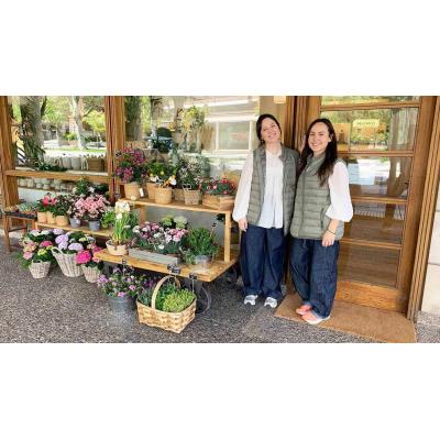 Deja su puesto fijo en una consultoría para abrir una floristería: la apuesta de dos hermanas en Pamplona