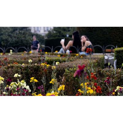 La AEMET anuncia el vuelco más inesperado del tiempo en Navarra: del frío y la nieve a temperaturas de verano