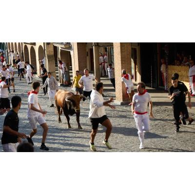 Estella celebra sus fiestas del Puy con encierros y actos tradicionales: programa completo