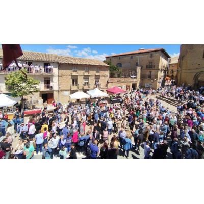 La fiesta del vino rosado que vuelve a llenar de ambiente uno de los pueblos con más encanto de Navarra