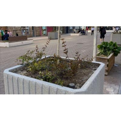 Las nuevas hidrojardineras que ya transforman varias calles de una localidad de Navarra con más vegetación