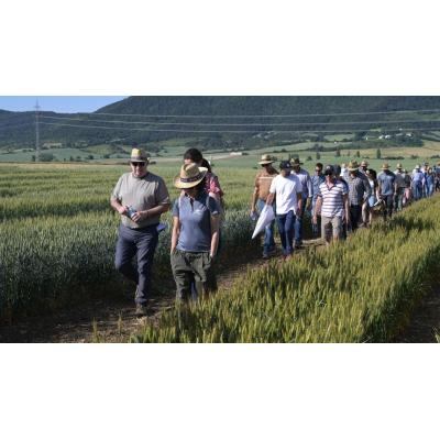 Cerca de 200 agricultores conocen en Navarra los ensayos que buscan ahorrar agua y fertilizantes