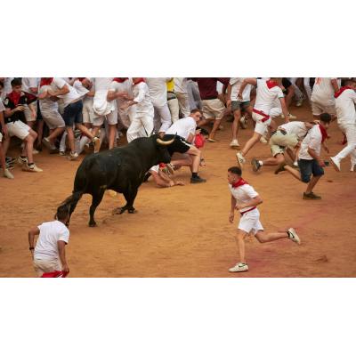 Las entradas más buscadas para los encierros de San Fermín en la plaza ya están a la venta: precios y cómo conseguirlas