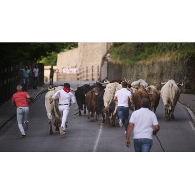 Pamplona reparte 1.400 pases dobles para ver el Encierrillo de San Fermín: así puedes conseguirlos