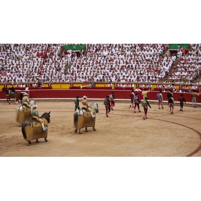 Una televisión confirma que emitirá en directo 4 corridas de la Feria del Toro de San Fermín de Pamplona
