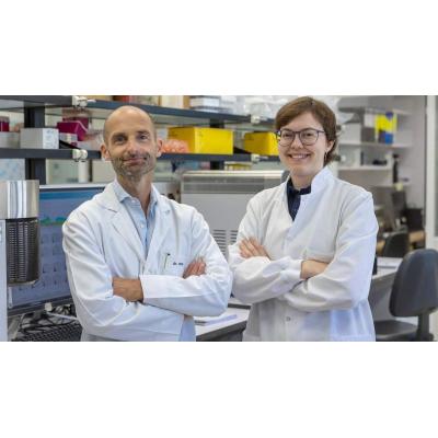 El hallazgo del Cima de la Clínica Universidad de Navarra que cambia el seguimiento de pacientes con un tipo de cáncer