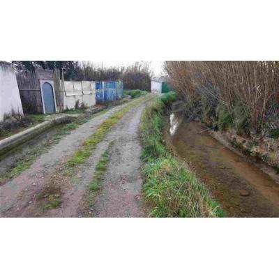 Inversión histórica en los caminos de Tudela: plan de choque en La Mejana y Traslapuente, y adiós a un punto negro de la zona
